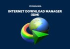 Internet Download Manager 6.42 Build 3 Multilenguaje