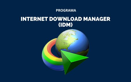 Internet Download Manager 6.42 Build 3 Multilenguaje